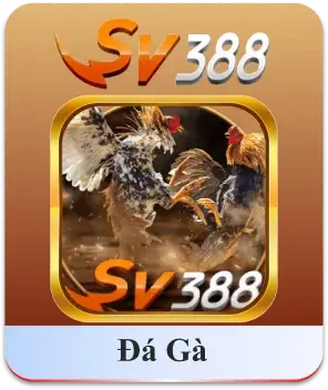 VN88 | Link Chính Thức - Vui Giáng Sinh Đăng Ký +188k 35 img da ga sv388